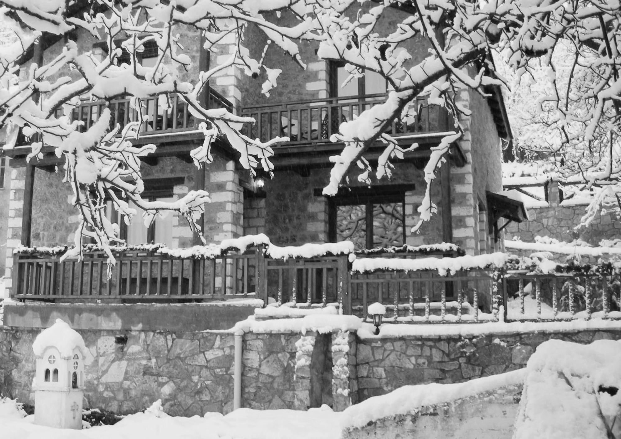 Theasis Suites-Ορεινή Φιλοξενία Kato Sinikia Trikalon Exterior foto