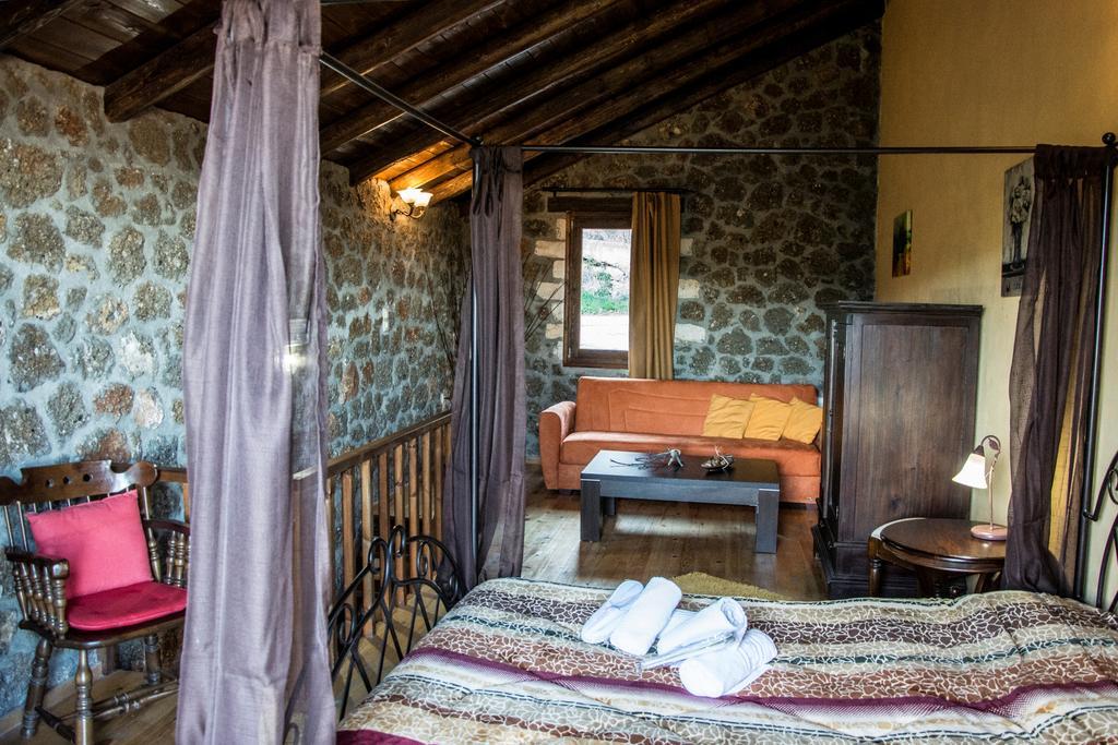 Theasis Suites-Ορεινή Φιλοξενία Kato Sinikia Trikalon Exterior foto