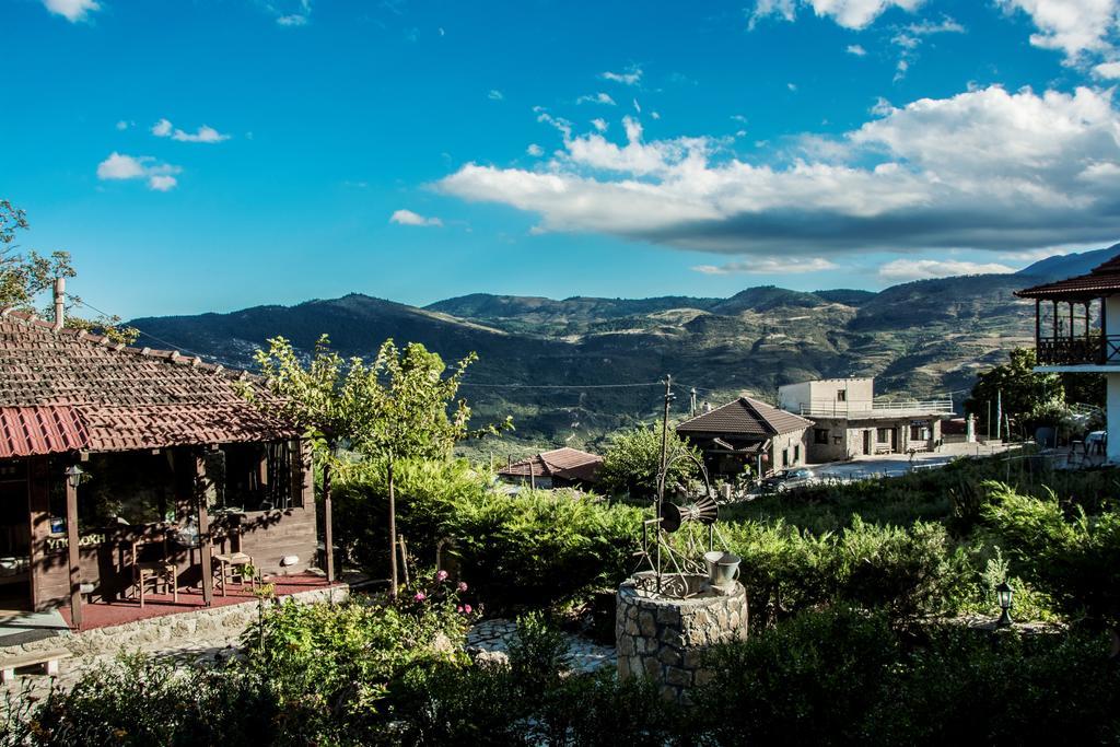 Theasis Suites-Ορεινή Φιλοξενία Kato Sinikia Trikalon Exterior foto
